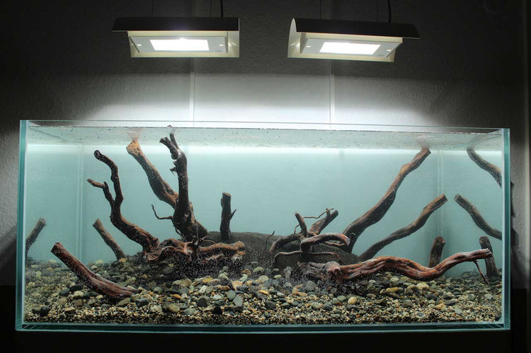Пошаговое обустройство 300 - литрового аквариума